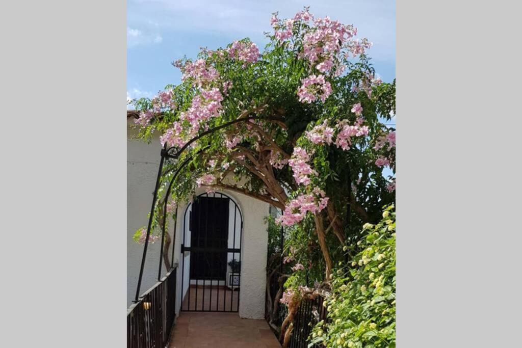 בניסה Fabulous Refurbished Apartment Above Private Villa מראה חיצוני תמונה